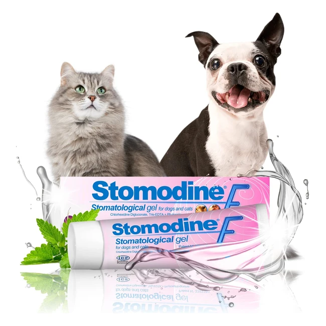 Stomodine F Dental Gel for Cats and Dogs - Fights Plaque  Bad Breath Soothes G