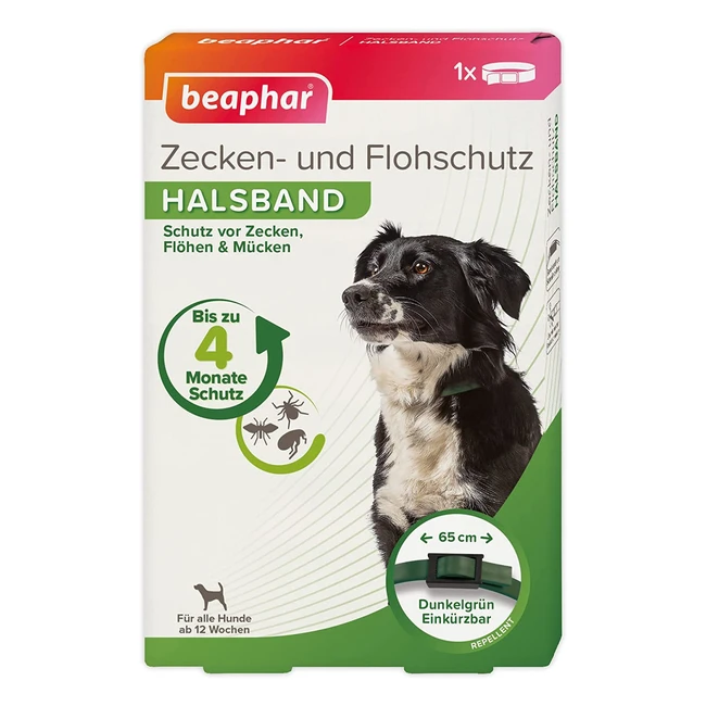 Beaphar Floh- und Zeckenschutz-Halsband für Hunde - Schutz gegen Zecken und Flöhe - wirkt 4 Monate - mit frischem Duft - Grün - Länge 65 cm