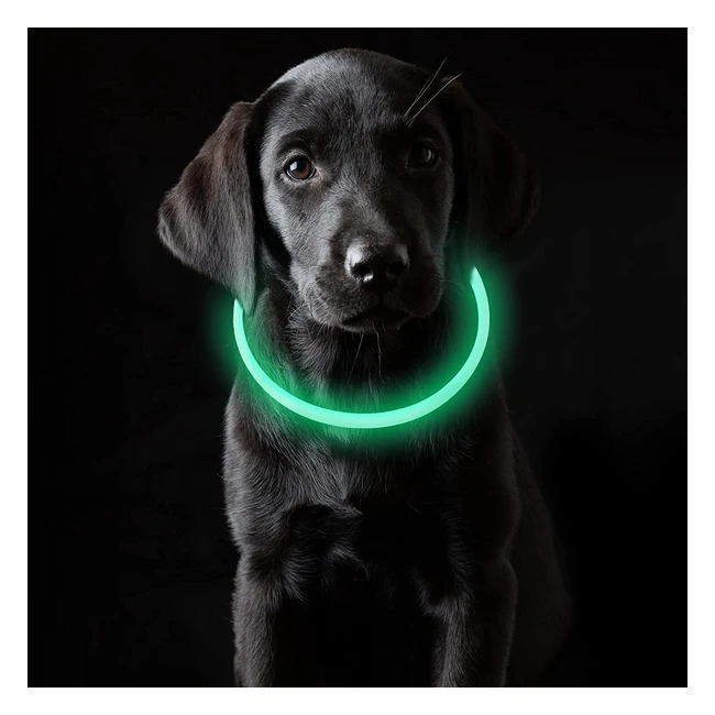 Collar Luminoso Recargable para Perros y Gatos - Coolzon - 3 Modos de Luz - Impermeable - Longitud Ajustable
