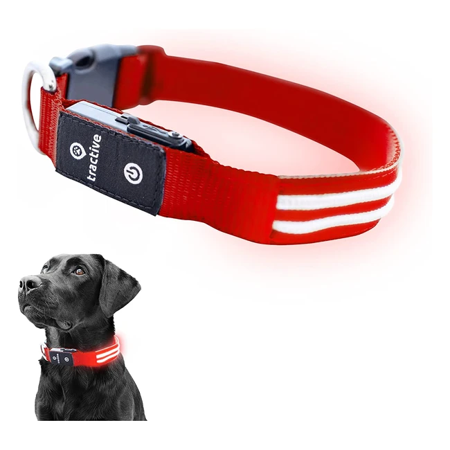 Collar Luminoso USB para Perros - Seguridad Nocturna - Impermeable - Rojo