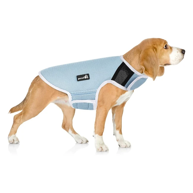Giacca raffreddante Pecute per cani XL - Mantieni il tuo cane fresco durante le attività estive