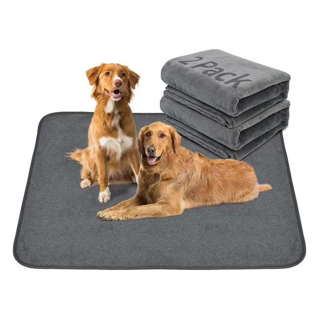Washable Dog Pee Pads - 2 Pack XL Instant Absorb Training Pads for Puppies & Senior Dogs - Non-Slip & Waterproof - Grey