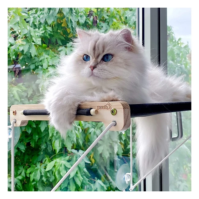 Hamac de fenêtre pour chat Pecute - Chaise longue en bois massif - Capacité de charge 15kg - Transparent et facile à monter