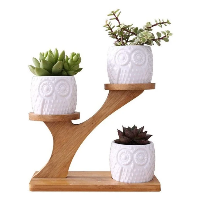 Ensemble de 3 pots de fleur chouette en cramique avec plateau en bambou - Ling
