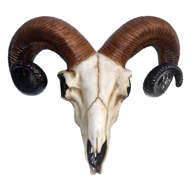 Nemesis Now Rams Skull Wall Plaque - Medium Ivory Resin 33cm 1kg