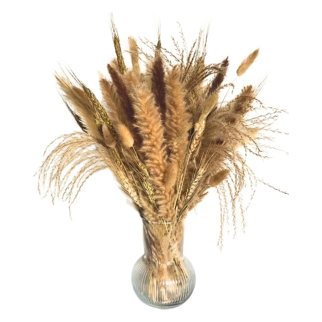 Pampasgras 40 Stiele 45 cm - Trockenblumen Bohopflanze - Echt  Natrlich - Gro