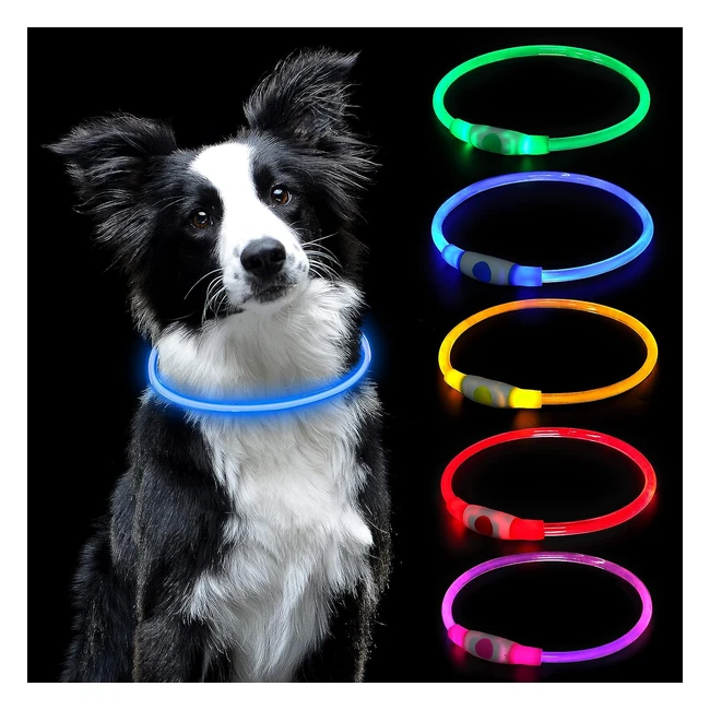 Collar Luminoso LED para Perro Recargable USB - Tamaño Ajustable - Impermeable - Seguridad - Azul