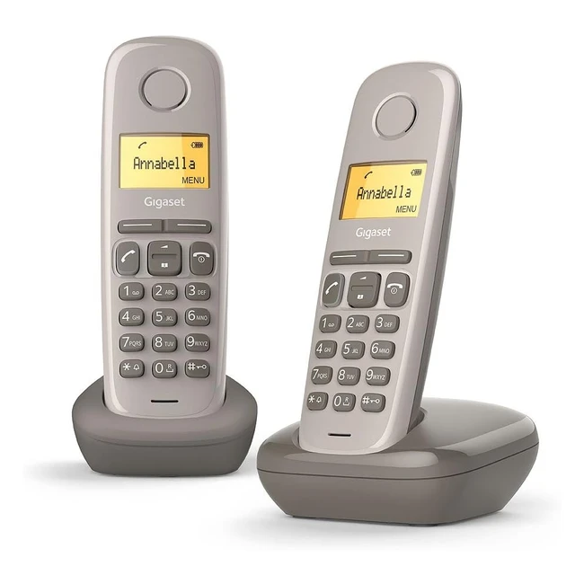 Téléphone fixe sans fil Gigaset A170 Duo, répertoire 50 contacts, écran rétroéclairé 1.5 pouces