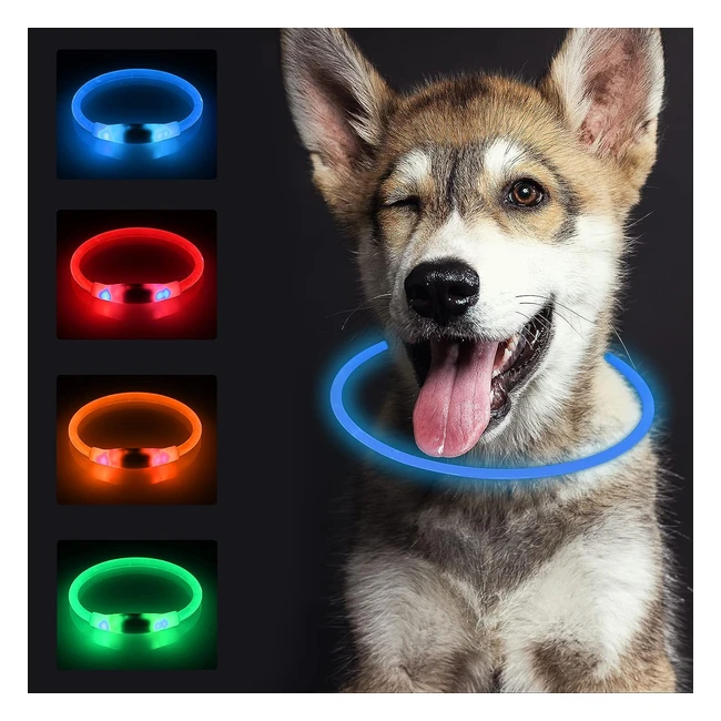 Collier lumineux LED pour chien Sonnig - Rechargeable et ajustable - 3 modes d'éclairage - Sécurité nocturne - Bleu