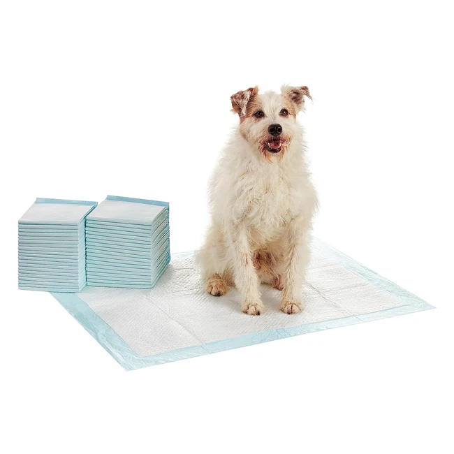 Amazon Basics Dog Training Pads XL 40-Pack - Leakproof 5-Layer Design Quick-Dry