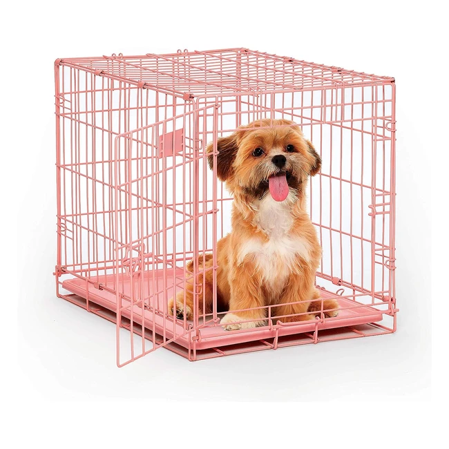 Pink Dog Crate Midwest iCrate 24 Inch - Folding Metal Crate with Divider Panel, Leak Proof Tray - Small Dog Breed
