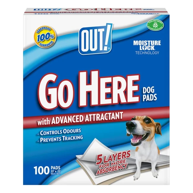 Out Go Here Absorbent Pet Training Pads - 100 Pads  Fast Absorption Odor Contr