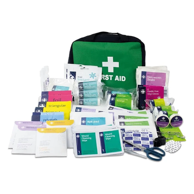 Lewisplast First Aid Kit Bag - 309 Piece Survival Kits - Safety Essentials for T
