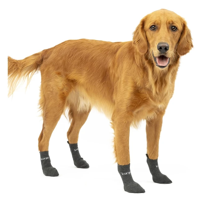Kurgo Blaze Dog Socks - Stretchable Outdoor Pet Socks - Grey Medium