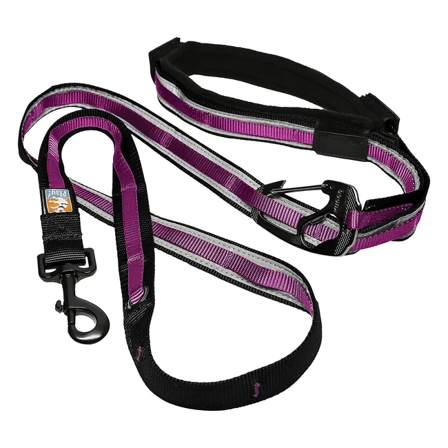 Kurgo Quantum 6in1 Dog Leash - Multiuse Lead for Walking & Running - Adjustable Handsfree - Raspberry