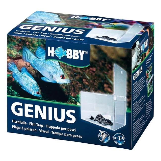 Hobby Genius Pige Poisson pour Aquariophilie - Attrapez facilement les poissons craintifs, opprimés, batailleurs ou malades