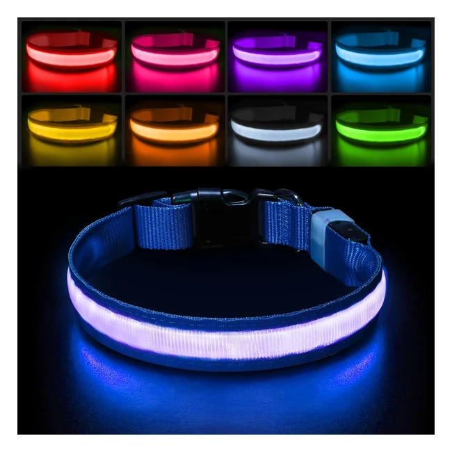 Super Bright LED Dog Collar USB Rechargeable - Increased Visibility at Night - Blue M