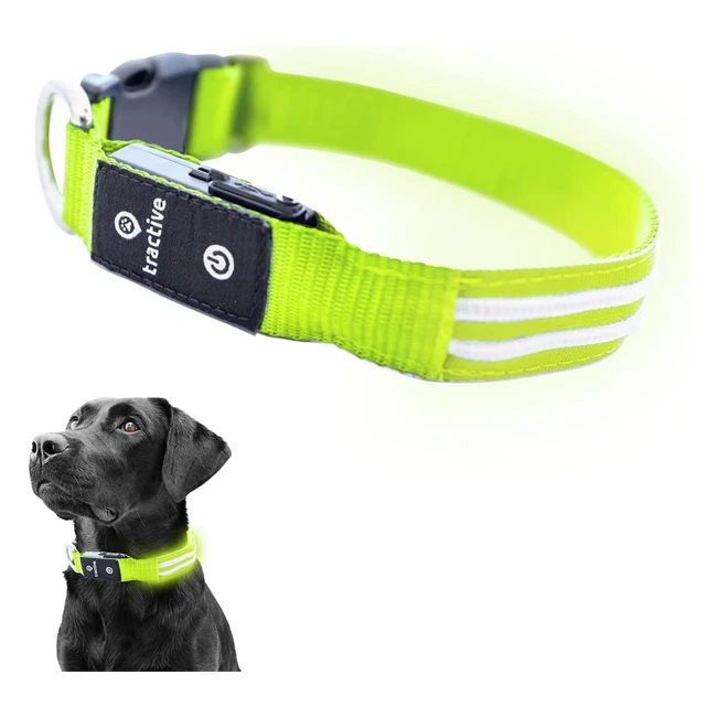 Tractive LED Hunde-Halsband grün, wasserdicht, USB aufladbar