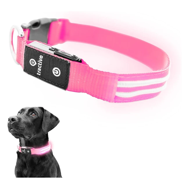 Tractive LED-Leuchthalsband für Hunde, USB-aufladbar, wasserdicht, pink, M
