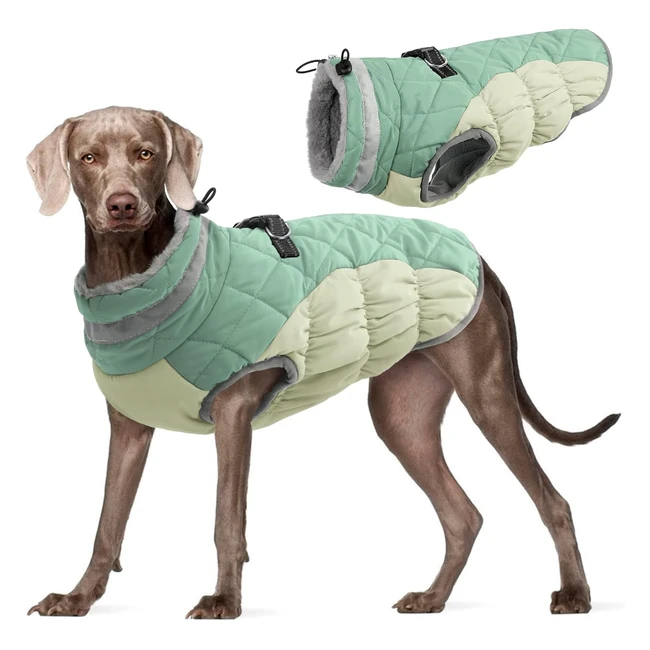 Kuoser Hundemantel, winddichte Hundejacke, reflektierender Hundemantel für kleine und große Hunde, Wintermantel mit Reißverschluss, grün, XL