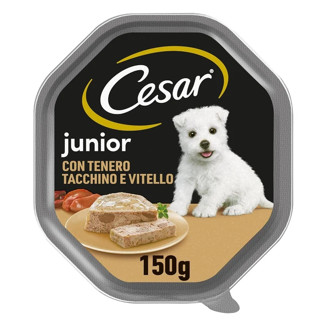 Cesar Junior Cibo Cane Cucciolo Puppy 150g - Tenero Tacchino e Vitello