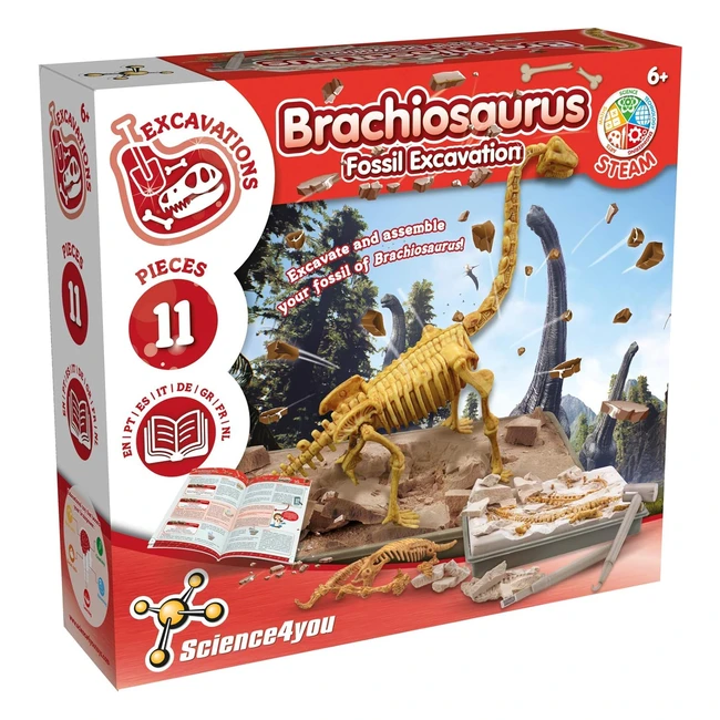 Kit de fouille Brachiosaurus pour enfant - Excaver et assembler 11 fossiles de d