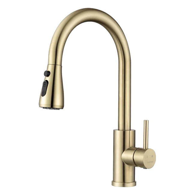 DayOne Gold Kitchen Sink Tap Mixer | SUS304 Stainless Steel | 360 Swivel | 3 Functions Spray | High Arc