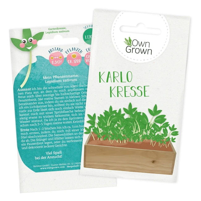 Premium Garten Kresse Samen - 1200x Kressesamen fr Kinder und Erwachsene - Kr
