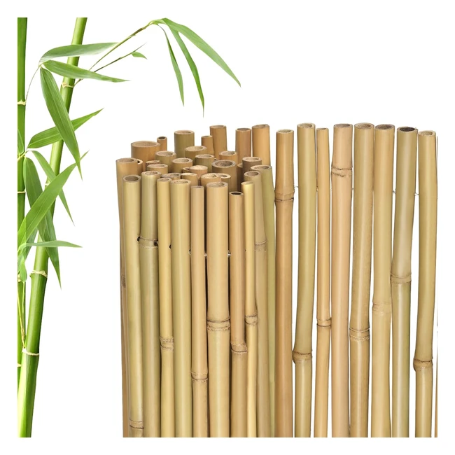 Jarolift Premium Sichtschutzmatte Bambus 140x300cm - Nachhaltiger Windschutz für Balkon, Terrasse und Garten
