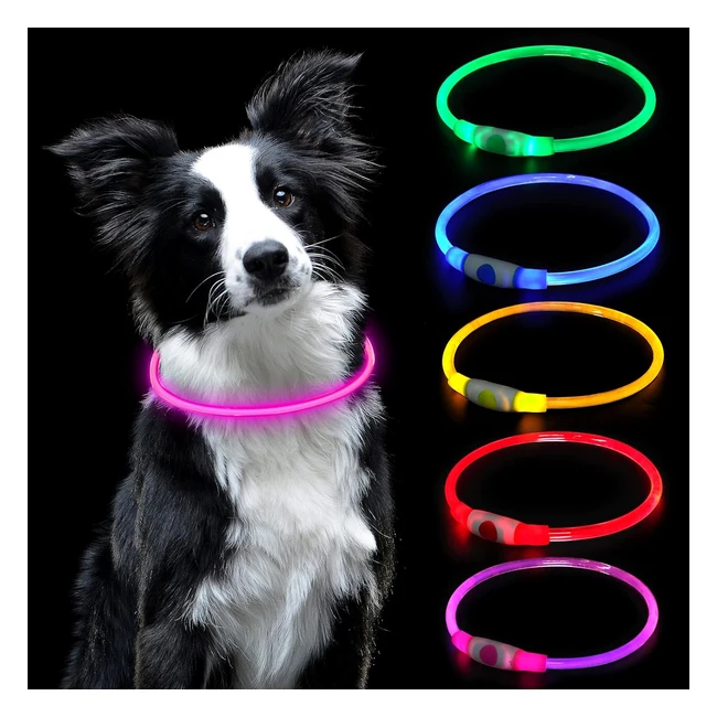 Collare luminoso per cani AUaUY LED USB ricaricabile - Sicurezza notturna