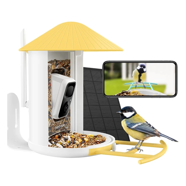 Mangeoire oiseaux Birdfy avec camra - Capture instantane dimagesvidos - 