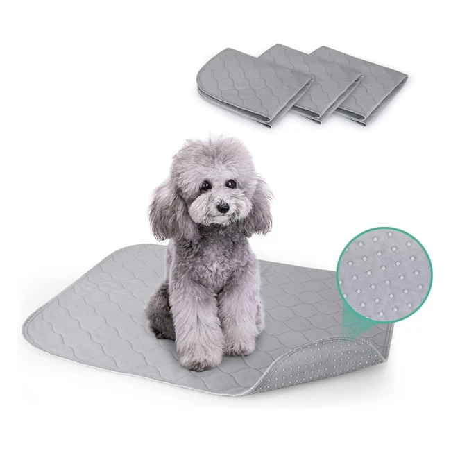 Almohadillas de Entrenamiento Lavables para Perros - Pack de 3 - Reutilizable - 