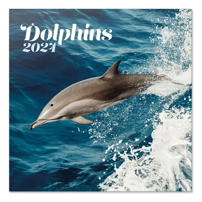 Calendario Delfini 2024 da Muro 30x30cm FSC - Ideale per Ufficio e Animali