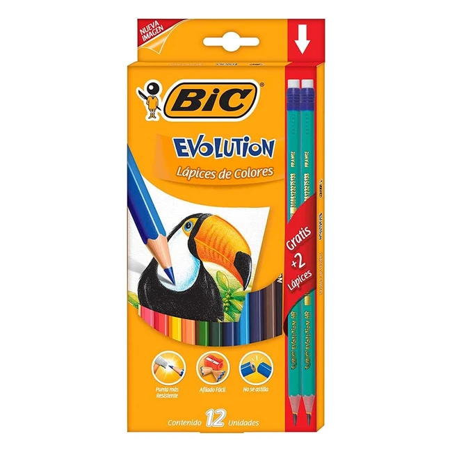 BIC Kids Ecolutions Evolution Buntstift Set für Kinder ab 5 Jahren ohne Holz bruchsicherer Nachfüllung sicheres Schreiben 12 Stifte in Kartonbox