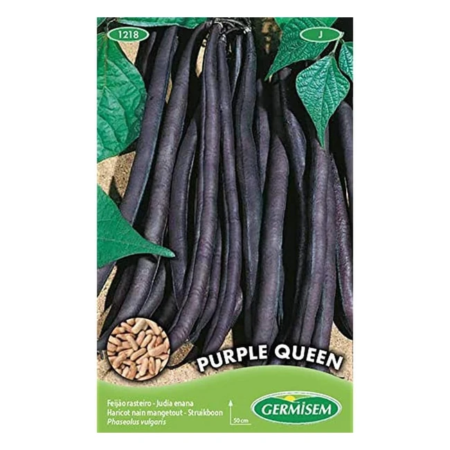 Graines de haricots franais Purple Queen 100g EC1218 - Multicolore - Rendement