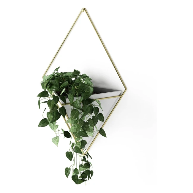 Pot de fleur mural Trigg - Design géométrique - Blanc - Pour plantes succulentes et plus