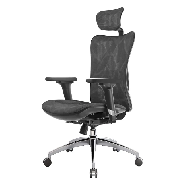Sihoo Ergonomic Office Chair Mesh Desk Chair Adjustable Lumbar Support 3D Armrests Black