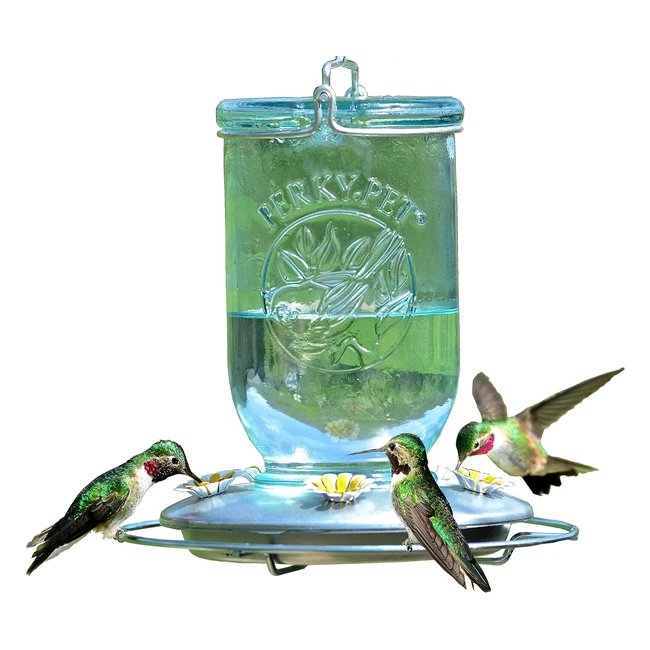 Perky-Pet 7851SR Vintage Glass Hummingbird Feeder - Outdoor Garden Decor - 32oz 