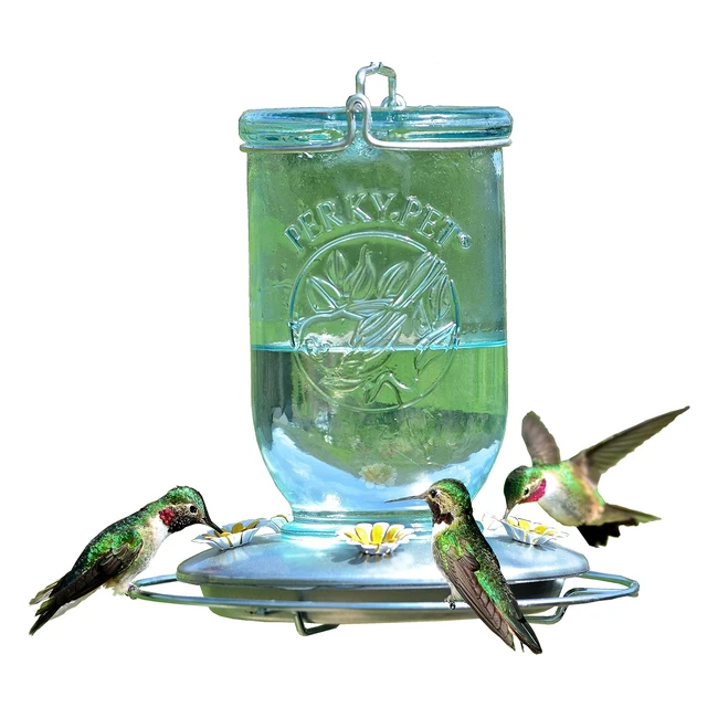 Perky-Pet 7851SR Vintage Glass Hummingbird Feeder - Outdoor Garden Decor - 32oz Capacity